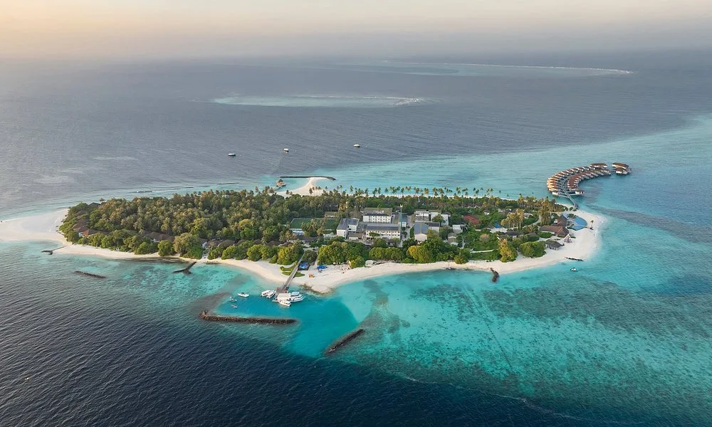 avani fares maldives resort: Отель и удобства 7